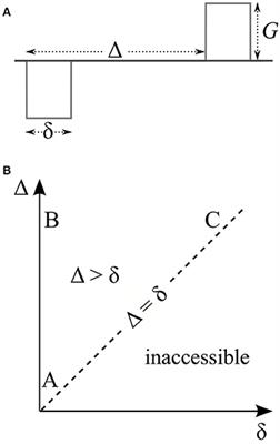 Influence of the Size and Curvedness of Neural Projections on the Orientationally Averaged Diffusion MR Signal